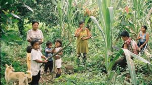 https://fuf.se/en/magasin/indigenous-and-afro-descendant-communities-struggle-for-visibility-and-justice-in-ecuador/